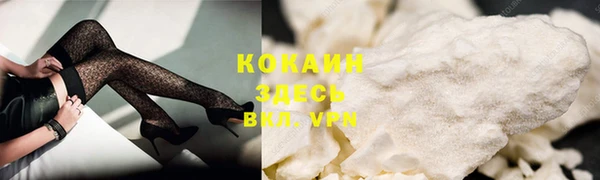 прущая мука Арсеньев