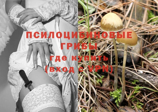 прущая мука Арсеньев