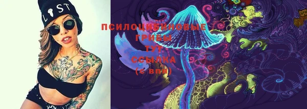 прущая мука Арсеньев